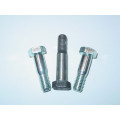 Hexagonal Fit Bolt DIN 609